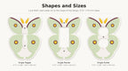 Luna Moth Switch Plate, view 4